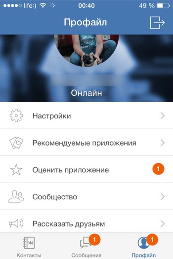 Невидимка ВКонтакте для айфона