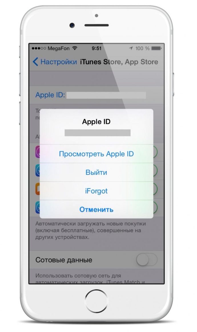 Меню выхода из аккаунта AppStore