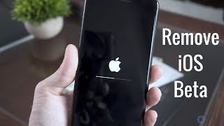 How to Remove an iOS Beta (& Get Back to Stock Firmware)