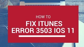 [SOLVED] How to Fix ITunes Error 3503 IOS 11 | Restore & Update | iPhone, iPad, iPod