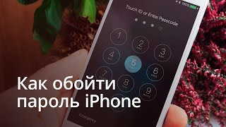 Как обойти пароль iPhone