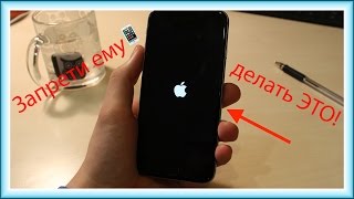 Запрети обновлять iOS твоему iPhone!