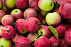 Красные яблоки Фон | Фото