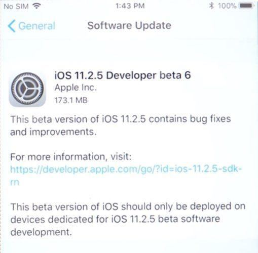 iOS 11.2.5 beta 6