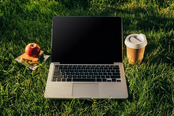 Крупным Планом Вид Ноутбука Кофе Пойти Бутерброд Apple Зелёной Лужайке — стоковое фото