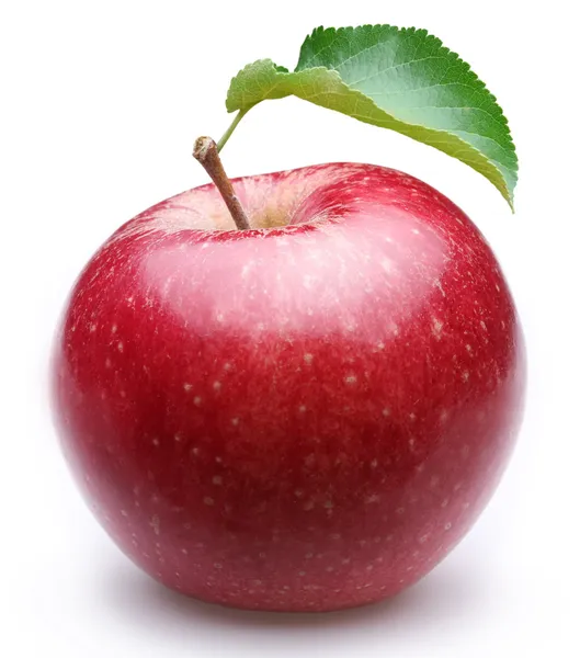 Красное спелое яблоко с листа — стоковое фото