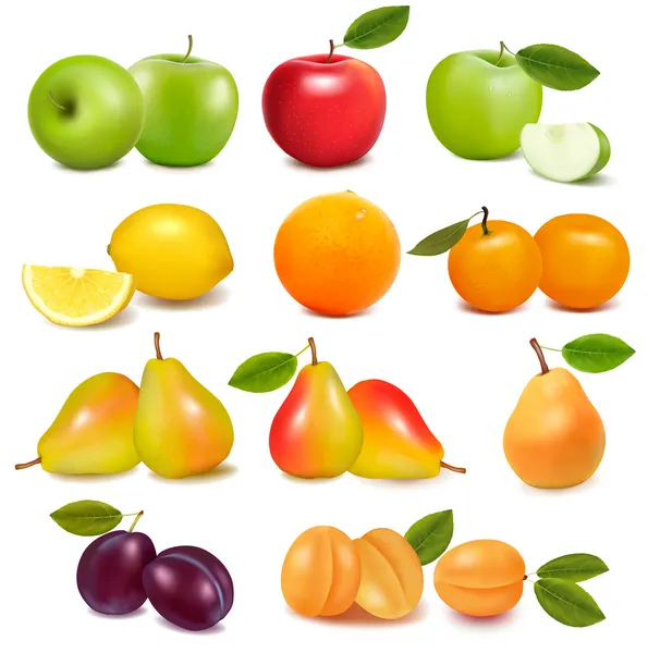 Большая группа различных свежих фруктов. вектор — стоковый вектор